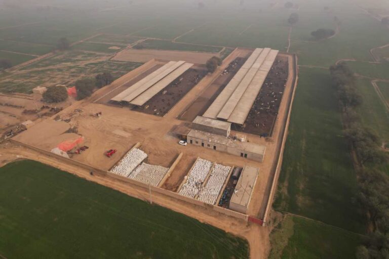 DJI_0009